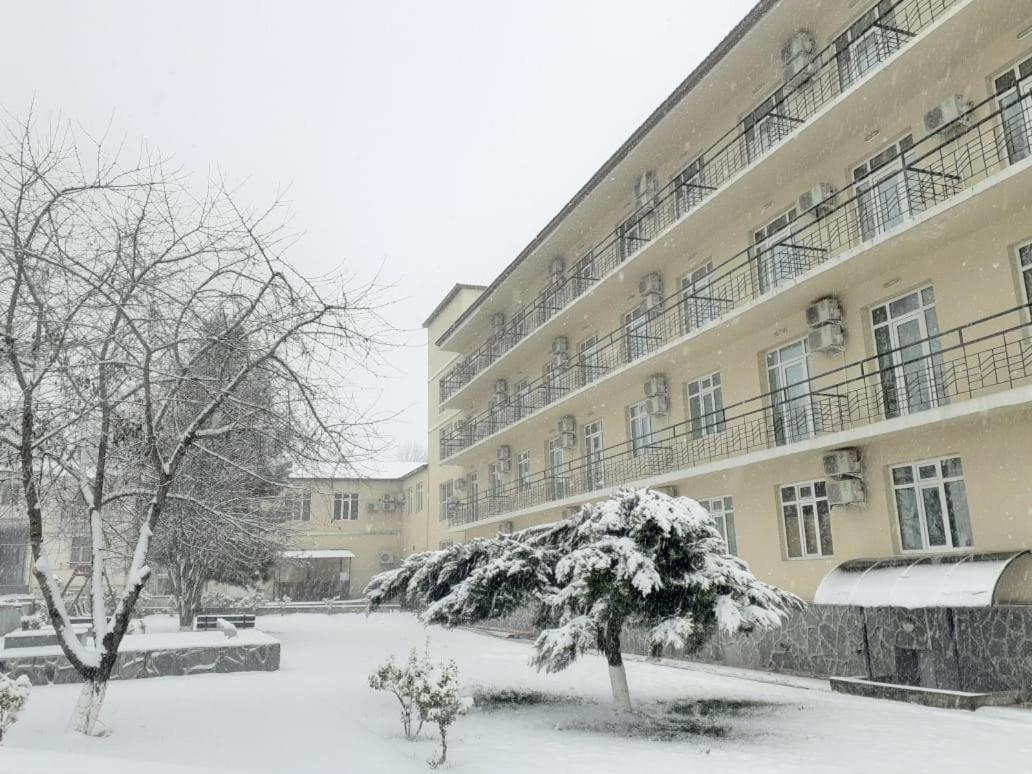 Gabala Hotel Dasca 외부 사진